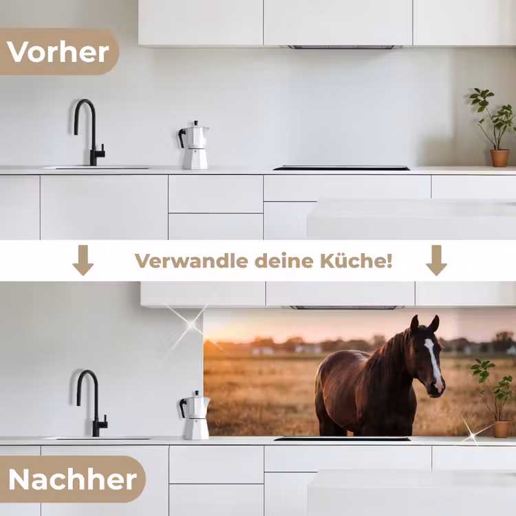 Paard - Zonsondergang - Bruin keuken achterwand 2 middel -voor-na_DE