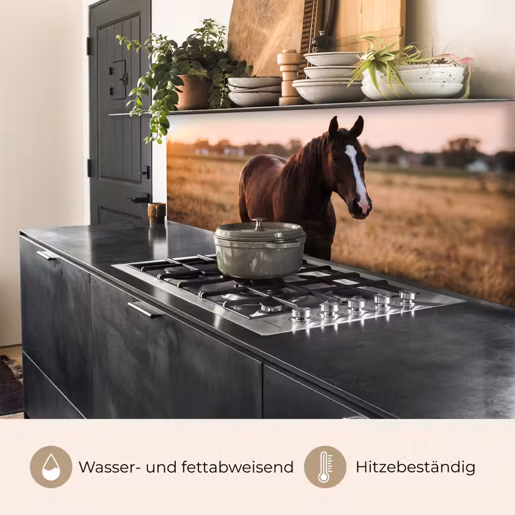 Paard - Zonsondergang - Bruin keuken achterwand 2 middel -usp_DE