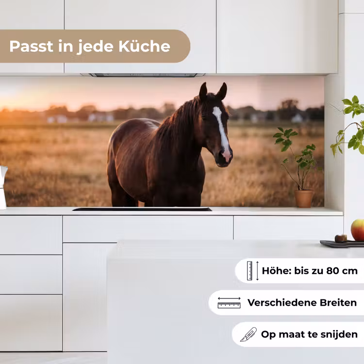Paard - Zonsondergang - Bruin keuken achterwand 2 middel -sfeer4_DE