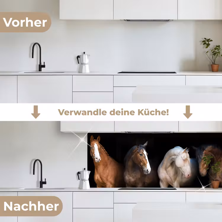 Paard - Dieren - Zwart keuken achterwand 2 middel -voor-na_DE