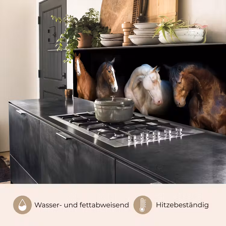 Paard - Dieren - Zwart keuken achterwand 2 middel -usp_DE