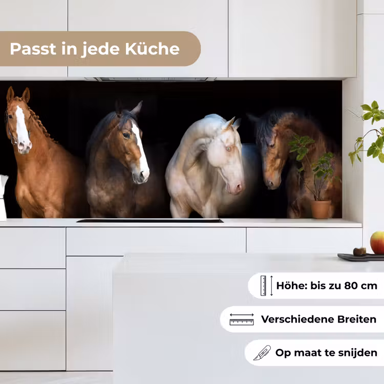 Paard - Dieren - Zwart keuken achterwand 2 middel -sfeer4_DE
