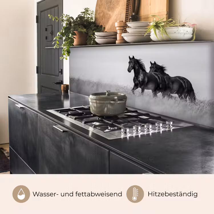 Paarden - Gras - Zwart - Wit keuken achterwand 2 middel -usp_DE