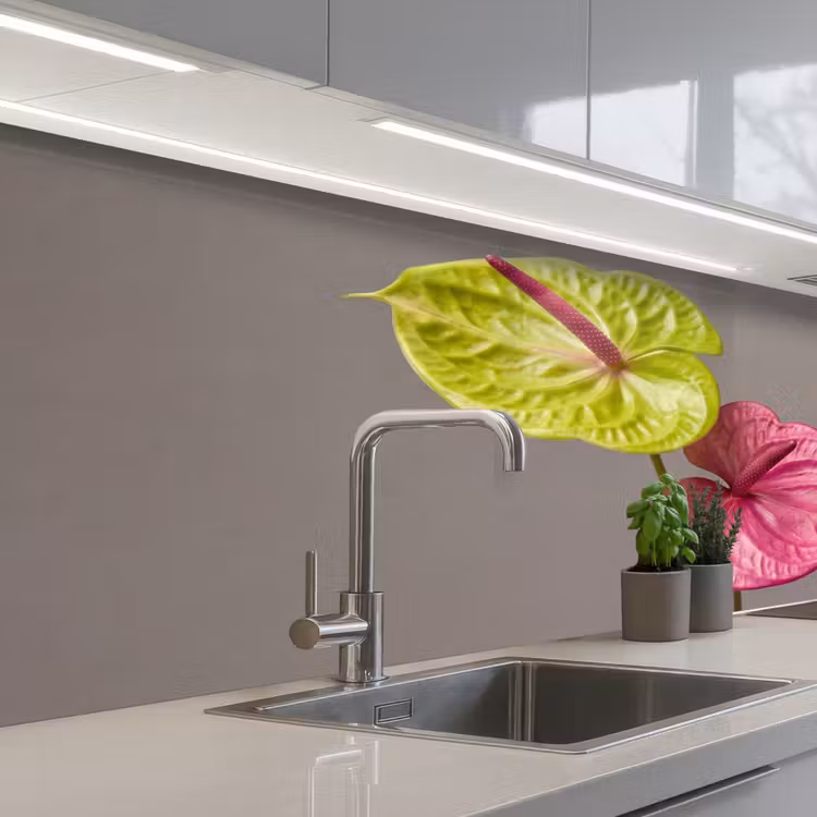 Planten - Anthurium - Groen - Roze keuken achterwand 2 middel -3d_schuin