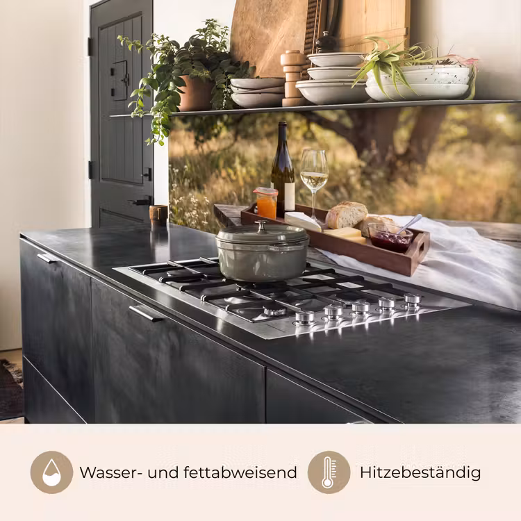 Picknick - Wijn - Kaasplankje keuken achterwand 2 middel -usp_DE