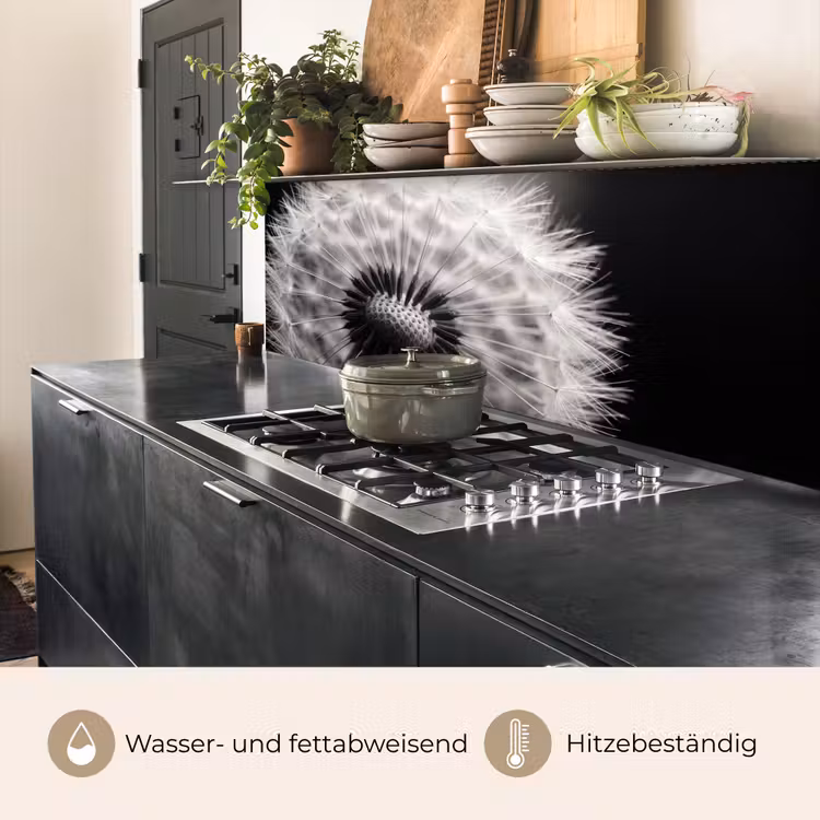 Paardenbloem - Zwart - Wit keuken achterwand 2 middel -usp_DE