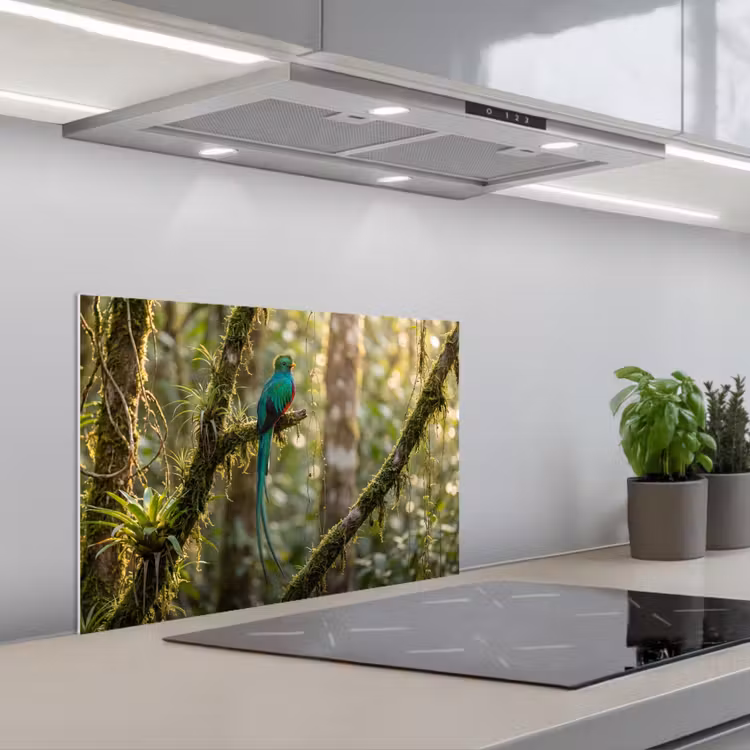 Quetzal - Jungle - Natuur - Groen keuken achterwand spatscherm klein -3d_schuin
