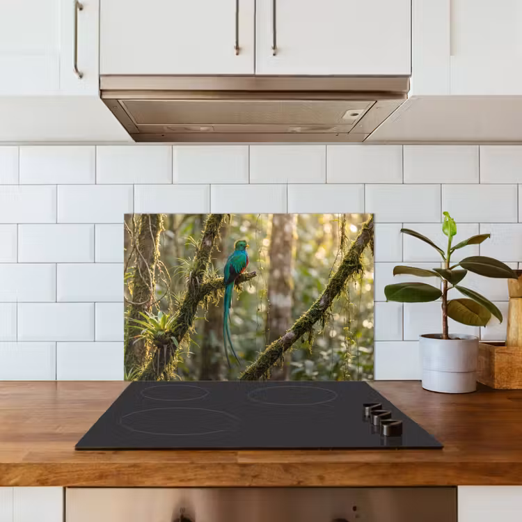 Quetzal - Jungle - Natuur - Groen keuken achterwand spatscherm klein -sfeer2