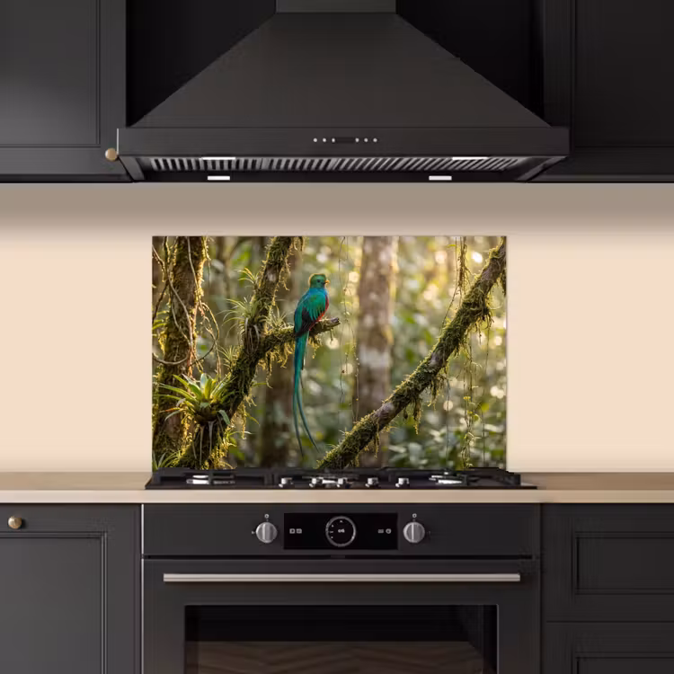 Quetzal - Jungle - Natuur - Groen keuken achterwand spatscherm klein -sfeer1