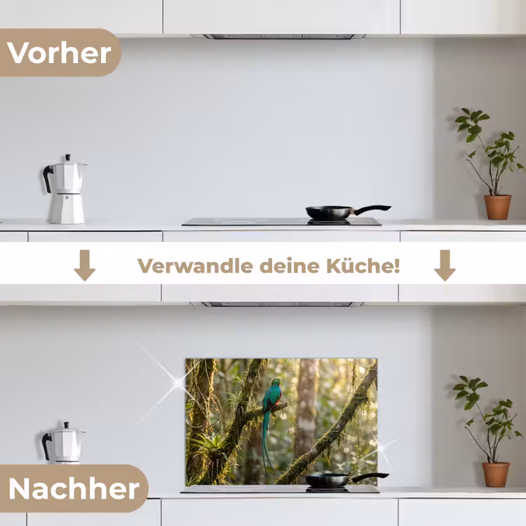 Quetzal - Jungle - Natuur - Groen keuken achterwand spatscherm klein -voor_na_DE