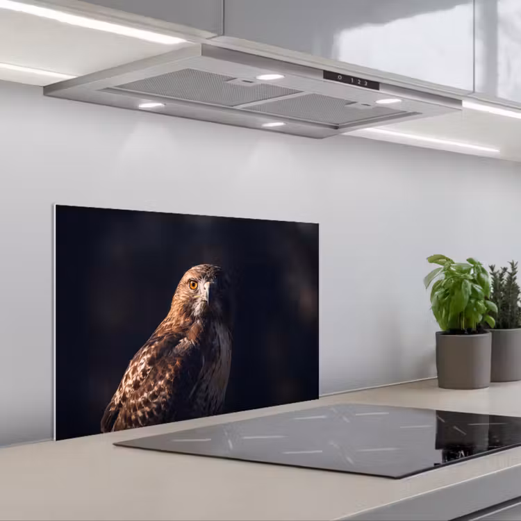 Roofvogel - Buizerd - Bruin keuken achterwand spatscherm klein -3d_schuin