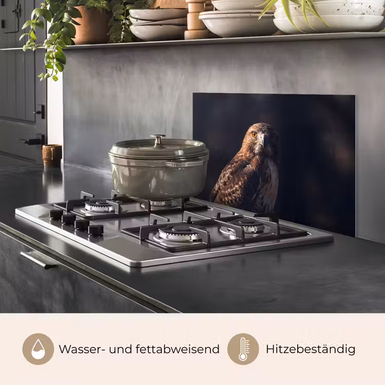 Roofvogel - Buizerd - Bruin keuken achterwand spatscherm klein -usp_DE