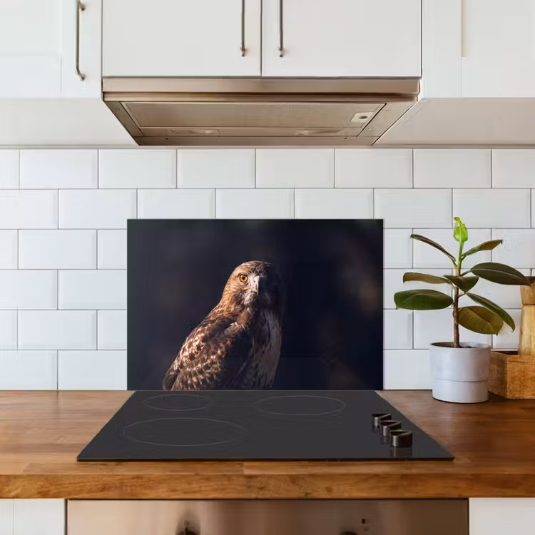 Roofvogel - Buizerd - Bruin keuken achterwand spatscherm klein -sfeer2