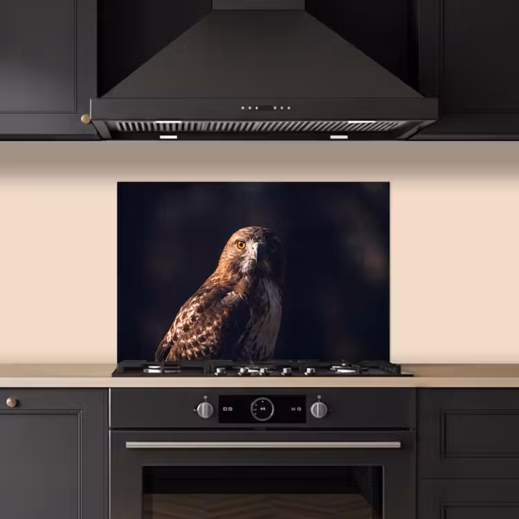 Roofvogel - Buizerd - Bruin keuken achterwand spatscherm klein -sfeer1