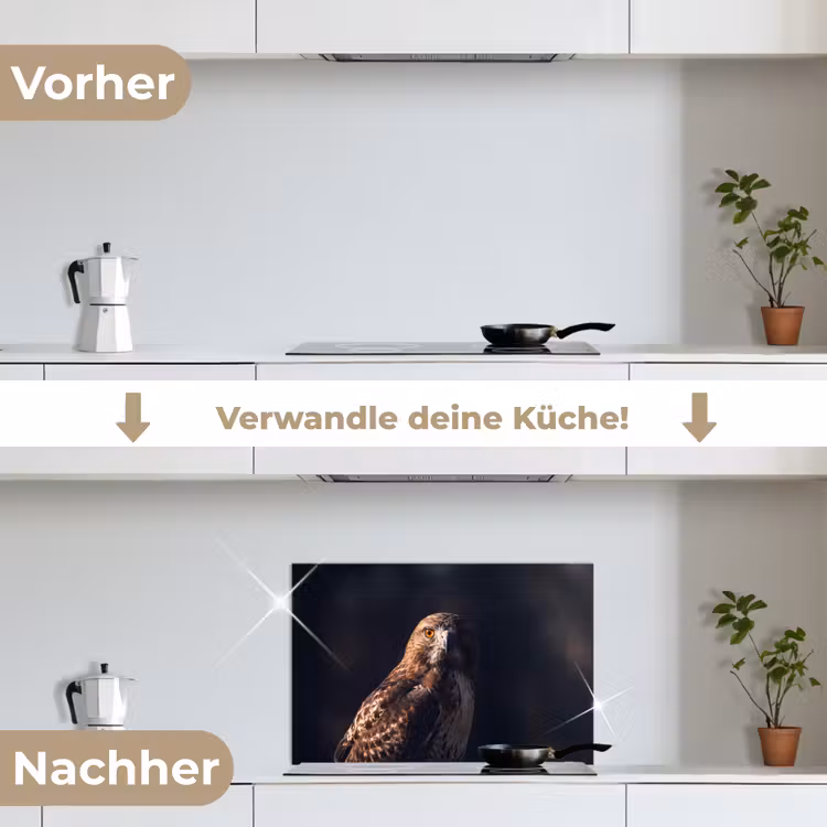 Roofvogel - Buizerd - Bruin keuken achterwand spatscherm klein -voor_na_DE