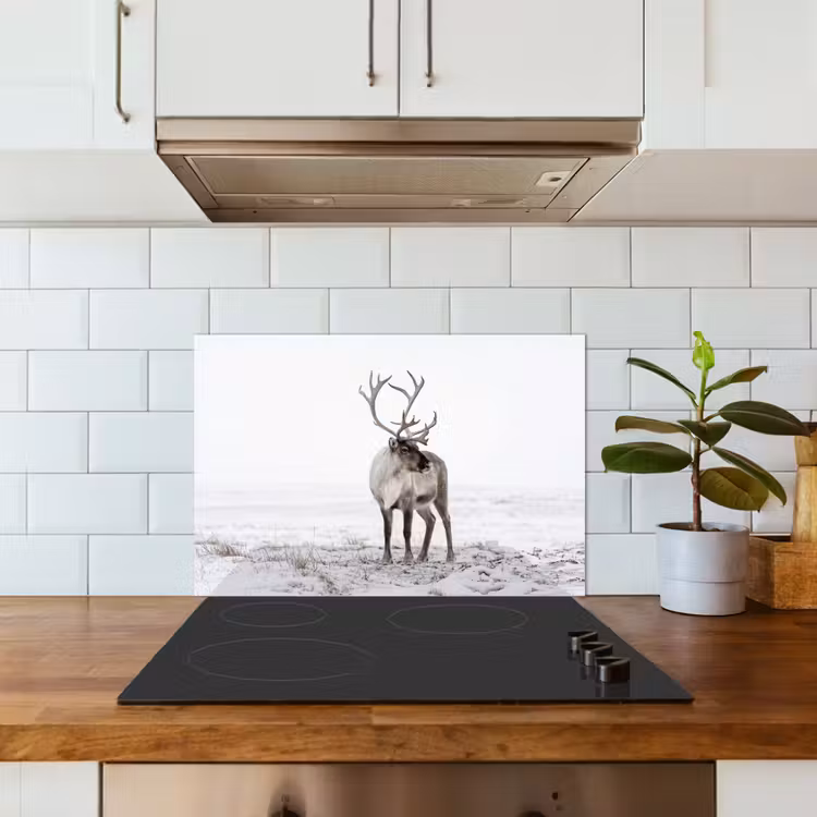 Rendier - Gewei - Sneeuw - Winter keuken achterwand spatscherm klein -sfeer2