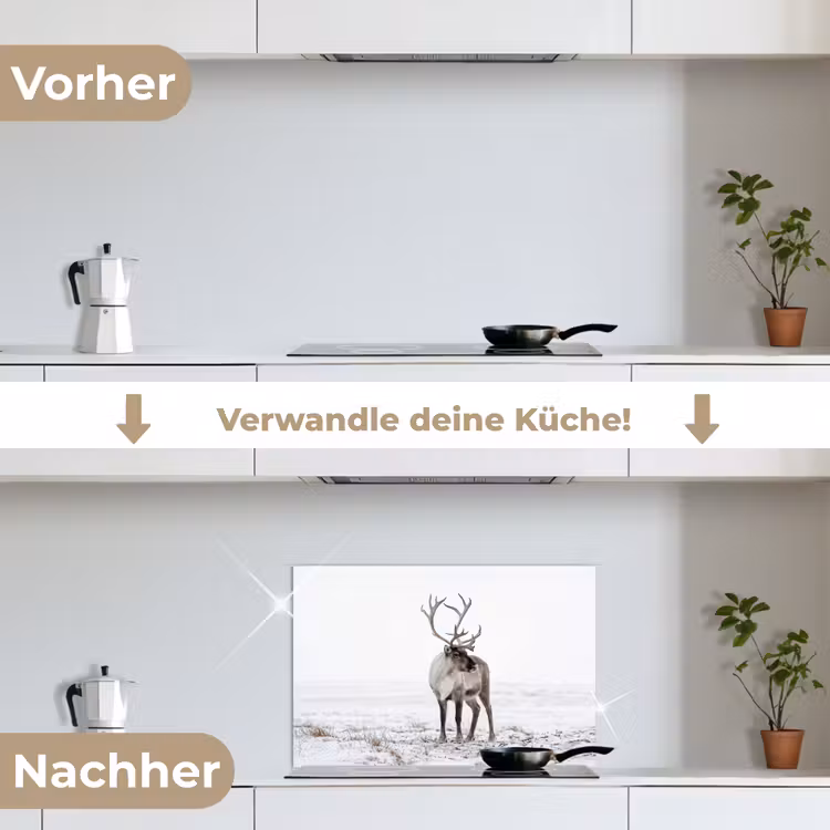 Rendier - Gewei - Sneeuw - Winter keuken achterwand spatscherm klein -voor_na_DE