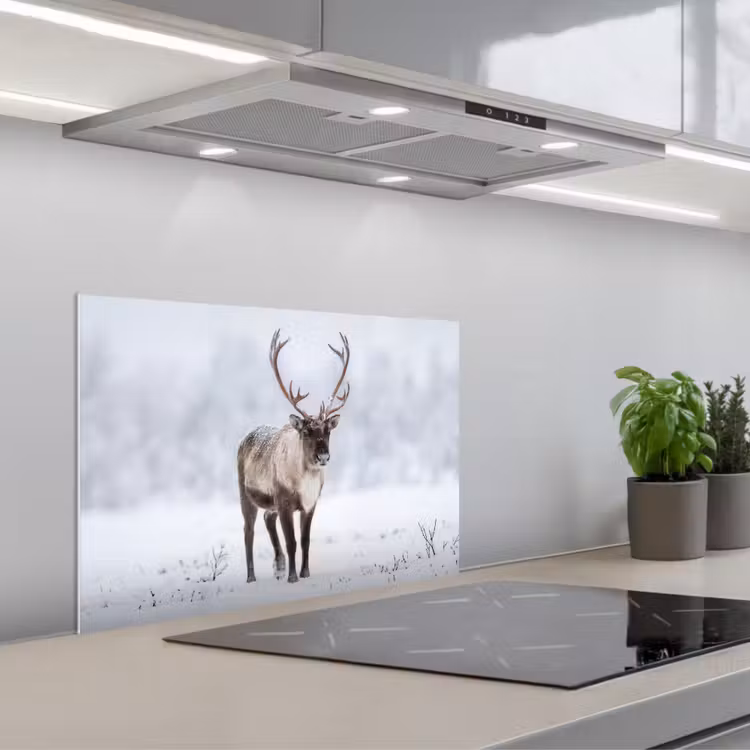 Rendier - Gewei - Toendra - Sneeuw - Wild keuken achterwand spatscherm klein -3d_schuin