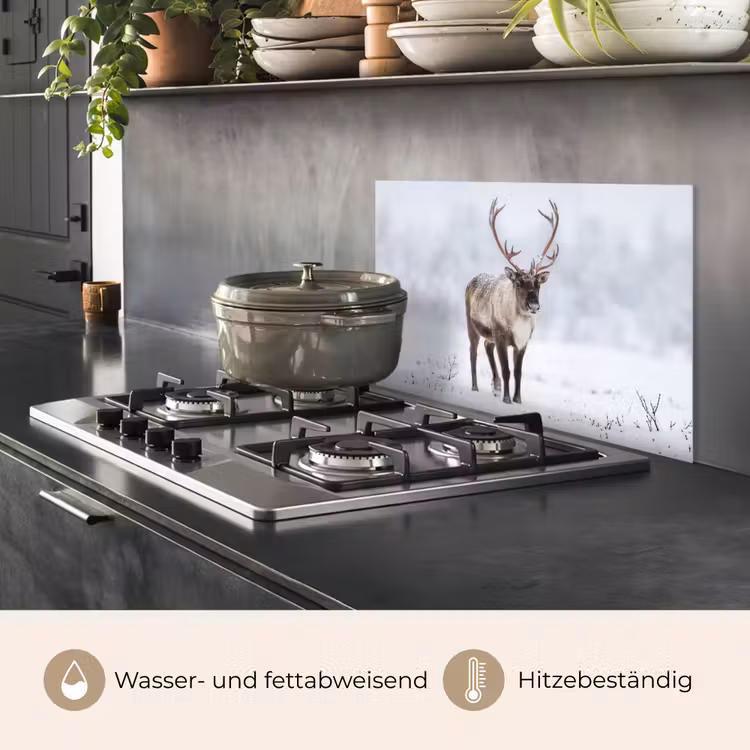 Rendier - Gewei - Toendra - Sneeuw - Wild keuken achterwand spatscherm klein -usp_DE
