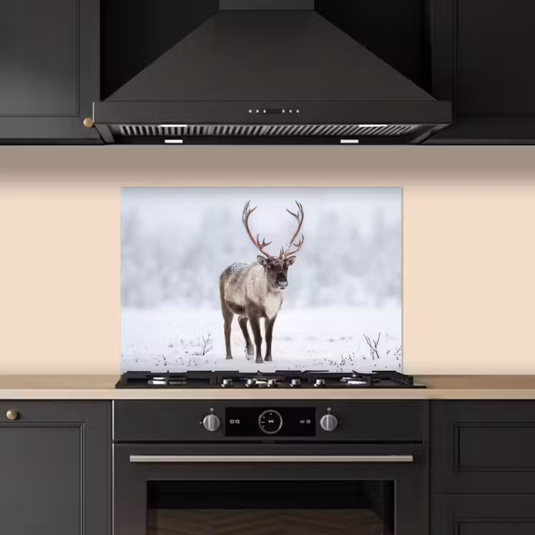 Rendier - Gewei - Toendra - Sneeuw - Wild keuken achterwand spatscherm klein -sfeer1