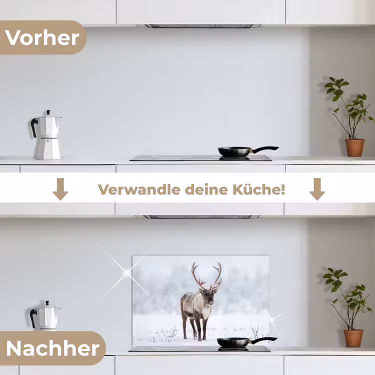 Rendier - Gewei - Toendra - Sneeuw - Wild keuken achterwand spatscherm klein -voor_na_DE