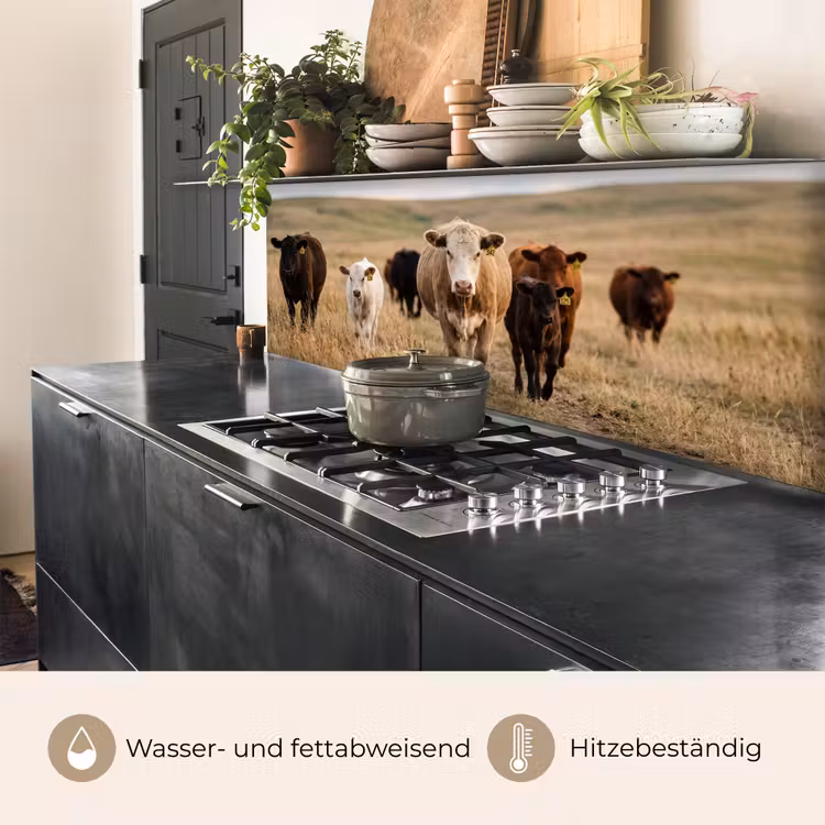 Runderen - Kudde - Landschap - Weide - Rustig keuken achterwand 2 middel -usp_DE