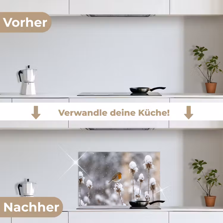 Roodborstje - Gedroogde bloem - Sneeuw - Winter - Vertederend keuken achterwand spatscherm klein -voor_na_DE