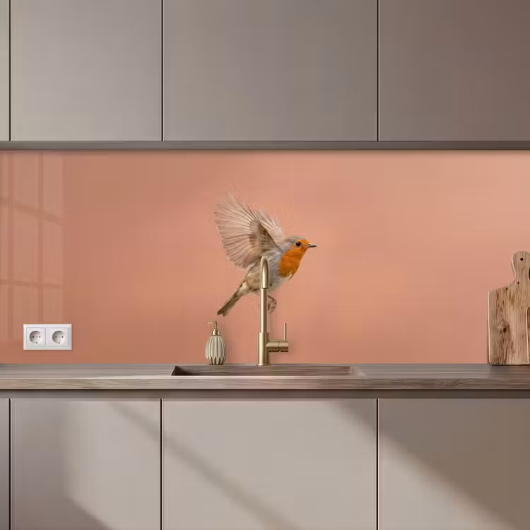 Roodborst - Natuur - Roze keuken achterwand 2 middel zz_3dshopping