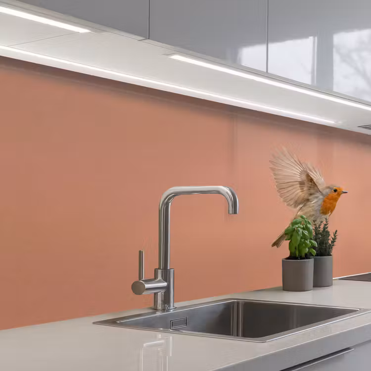 Roodborst - Natuur - Roze keuken achterwand 2 middel -3d_schuin