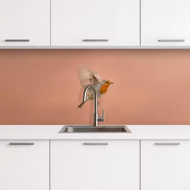 Roodborst - Natuur - Roze keuken achterwand 2 middel -3d