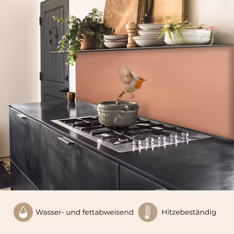 Roodborst - Natuur - Roze keuken achterwand 2 middel -usp_DE