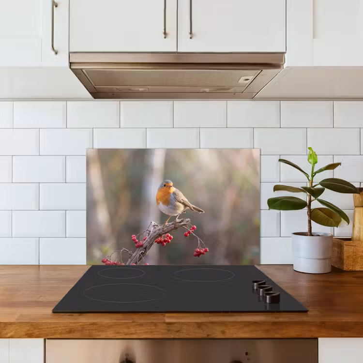 Roodborst - Tak - Bessen - Natuur keuken achterwand spatscherm klein -sfeer2