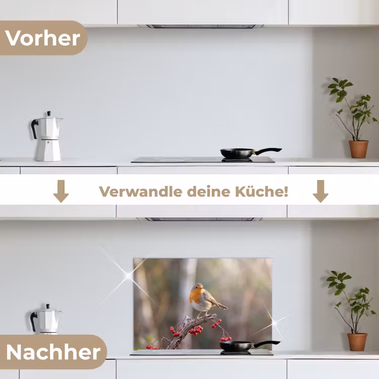 Roodborst - Tak - Bessen - Natuur keuken achterwand spatscherm klein -voor_na_DE
