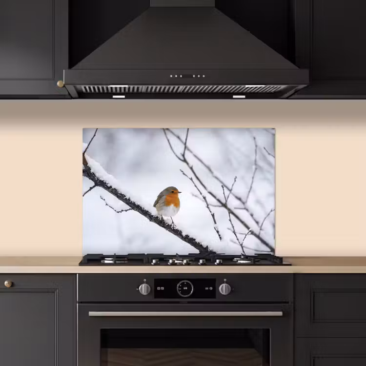 Roodborstje - Tak - Sneeuw - Winter - Levendig keuken achterwand spatscherm klein -sfeer1