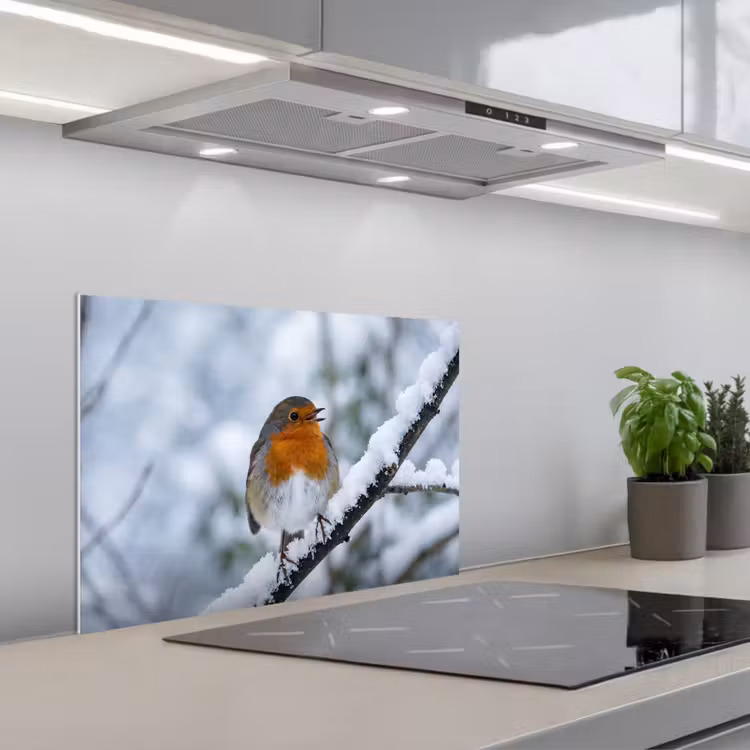 Roodborstje - Tak - Sneeuw - Winter - Levendig keuken achterwand spatscherm klein -3d_schuin