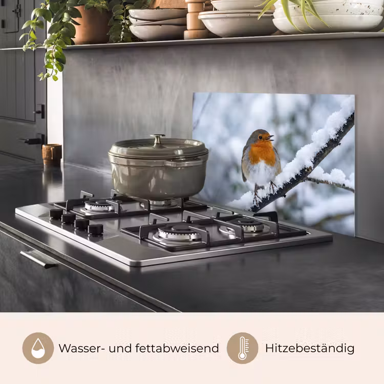 Roodborstje - Tak - Sneeuw - Winter - Levendig keuken achterwand spatscherm klein -usp_DE
