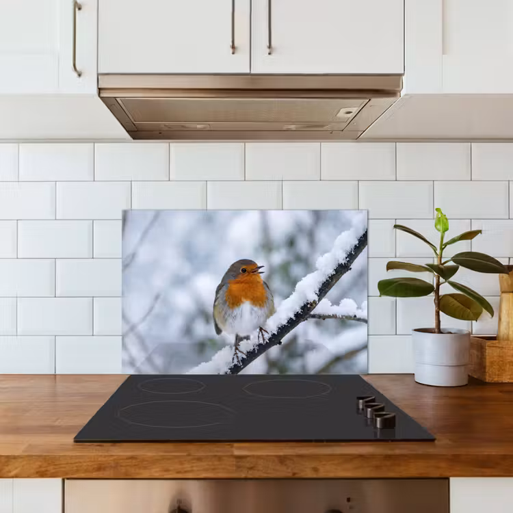 Roodborstje - Tak - Sneeuw - Winter - Levendig keuken achterwand spatscherm klein -sfeer2