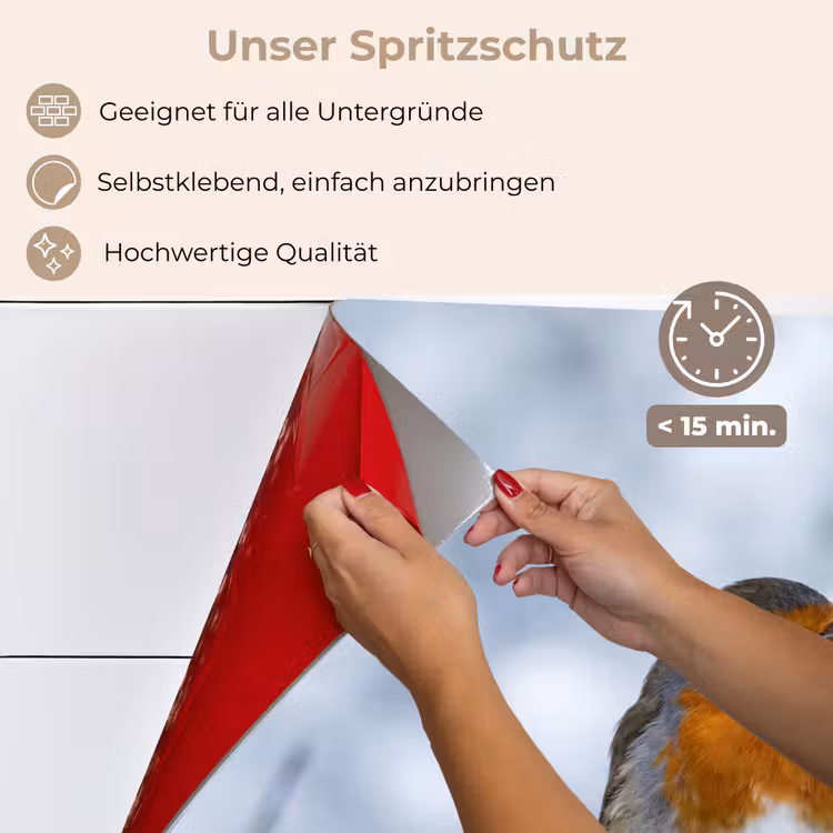 Roodborstje - Tak - Sneeuw - Winter - Levendig keuken achterwand spatscherm klein -spatscherm_DE