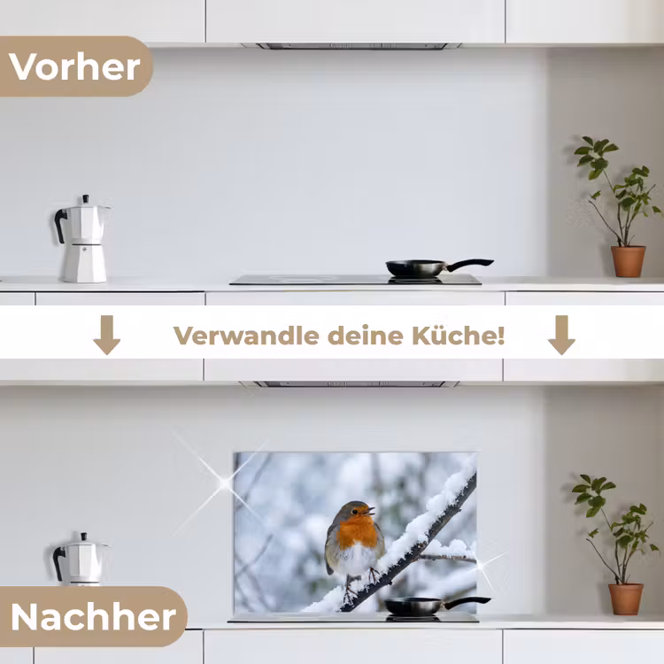 Roodborstje - Tak - Sneeuw - Winter - Levendig keuken achterwand spatscherm klein -voor_na_DE