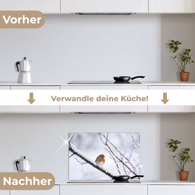 Roodborstje - Tak - Sneeuw - Winter - Levendig keuken achterwand spatscherm klein -voor_na_DE