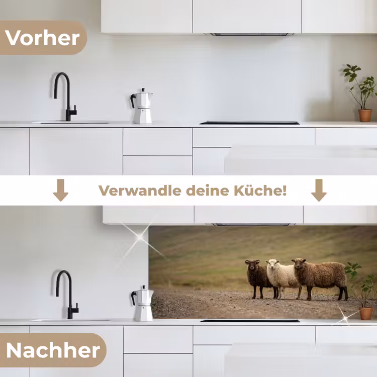 Schapen - Bruin - Wit - Grindpad keuken achterwand 2 middel -voor-na_DE