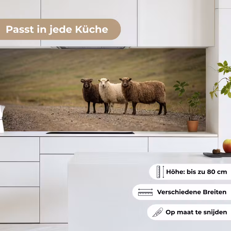 Schapen - Bruin - Wit - Grindpad keuken achterwand 2 middel -sfeer4_DE