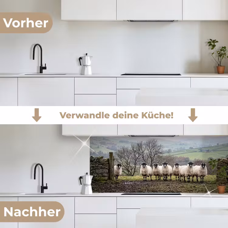 Schapen - Rij - Weide - Dieren - Platteland keuken achterwand 2 middel -voor-na_DE