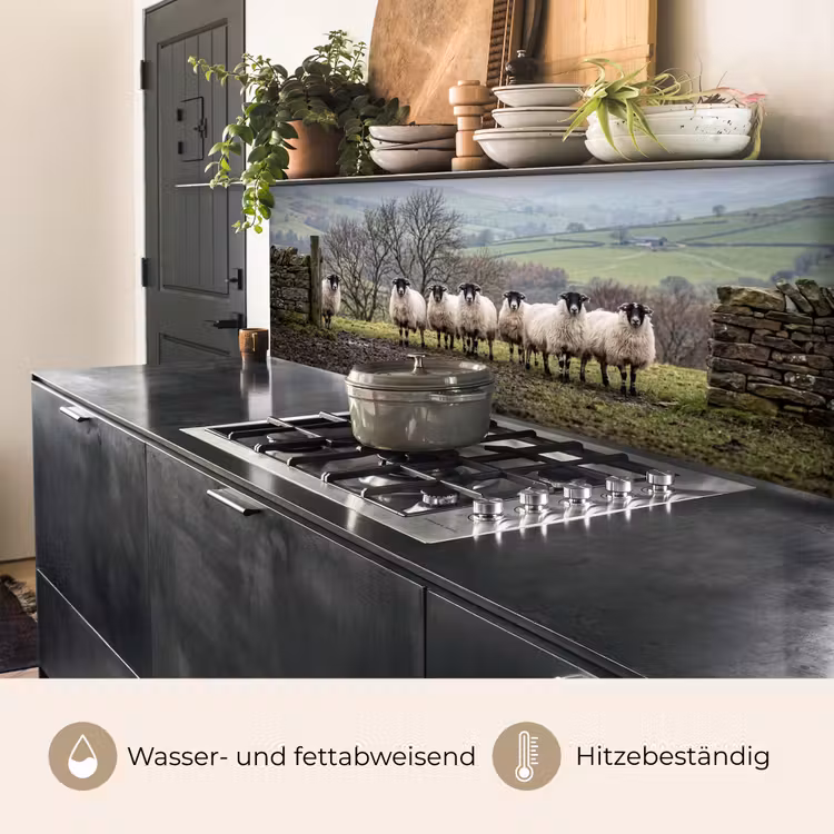 Schapen - Rij - Weide - Dieren - Platteland keuken achterwand 2 middel -usp_DE