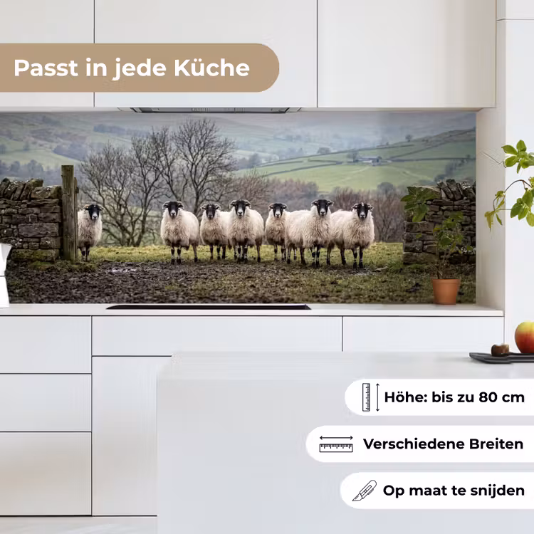 Schapen - Rij - Weide - Dieren - Platteland keuken achterwand 2 middel -sfeer4_DE