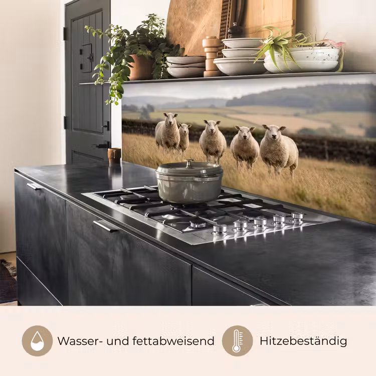 Schapen - Weidenlandschap - Heuvels keuken achterwand 2 middel -usp_DE