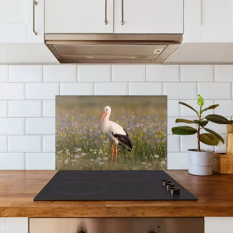 Ooienvaar - Bloemen - Weide - Kleurrijk keuken achterwand spatscherm klein -sfeer2