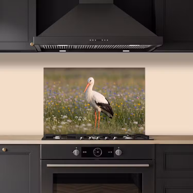 Ooienvaar - Bloemen - Weide - Kleurrijk keuken achterwand spatscherm klein -sfeer1