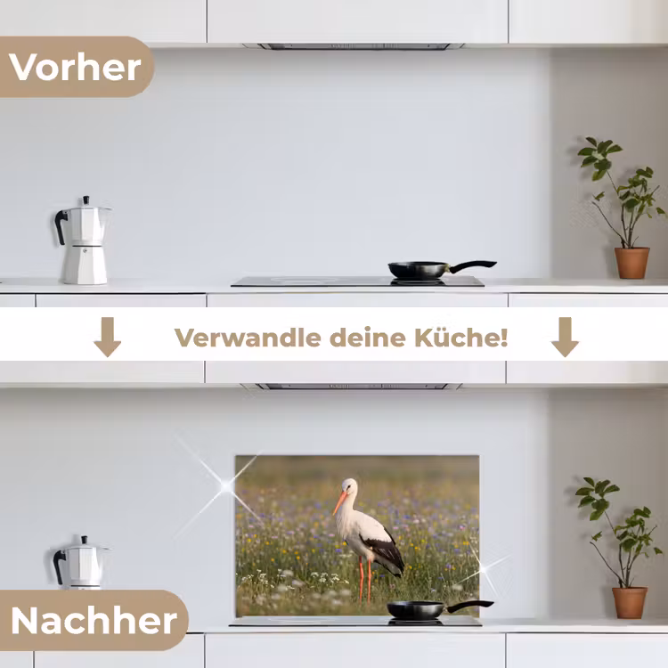Ooienvaar - Bloemen - Weide - Kleurrijk keuken achterwand spatscherm klein -voor_na_DE
