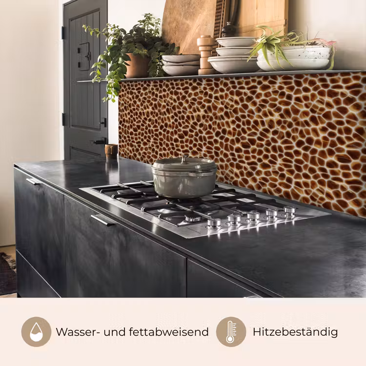 Schildpad - Patroon - Bruin keuken achterwand 2 middel 871 -usp_DE